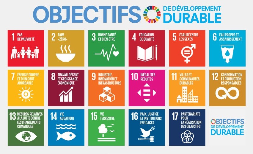 17 Objectifs de développement durable de l'ONU